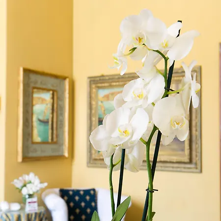 Celio Szálloda Róma